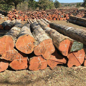 Sustainable Teak Garden Furniture | SVLK & UK FLEGT Sourcing Explained