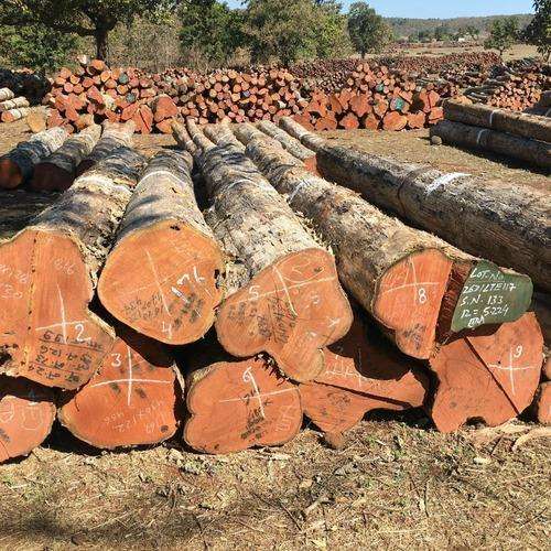 Sustainable Teak Garden Furniture | SVLK & UK FLEGT Sourcing Explained