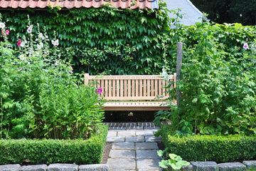 large teak garden bench on a patio filled with greenery and tall plants