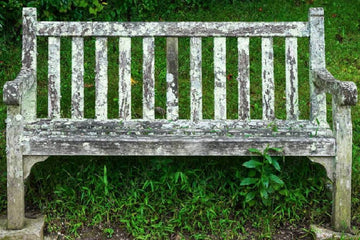 a wooden garden bench with lichen on grass