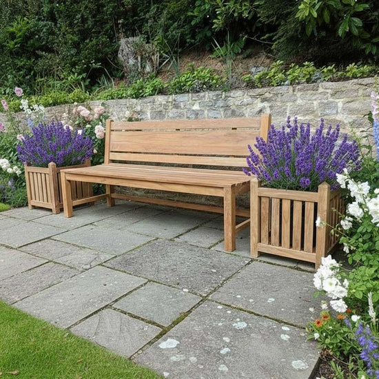 Wooden bench in a garden setting with lavender plants and stone pathway.