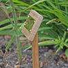 Wooden garden marker and plaque in a garden setting