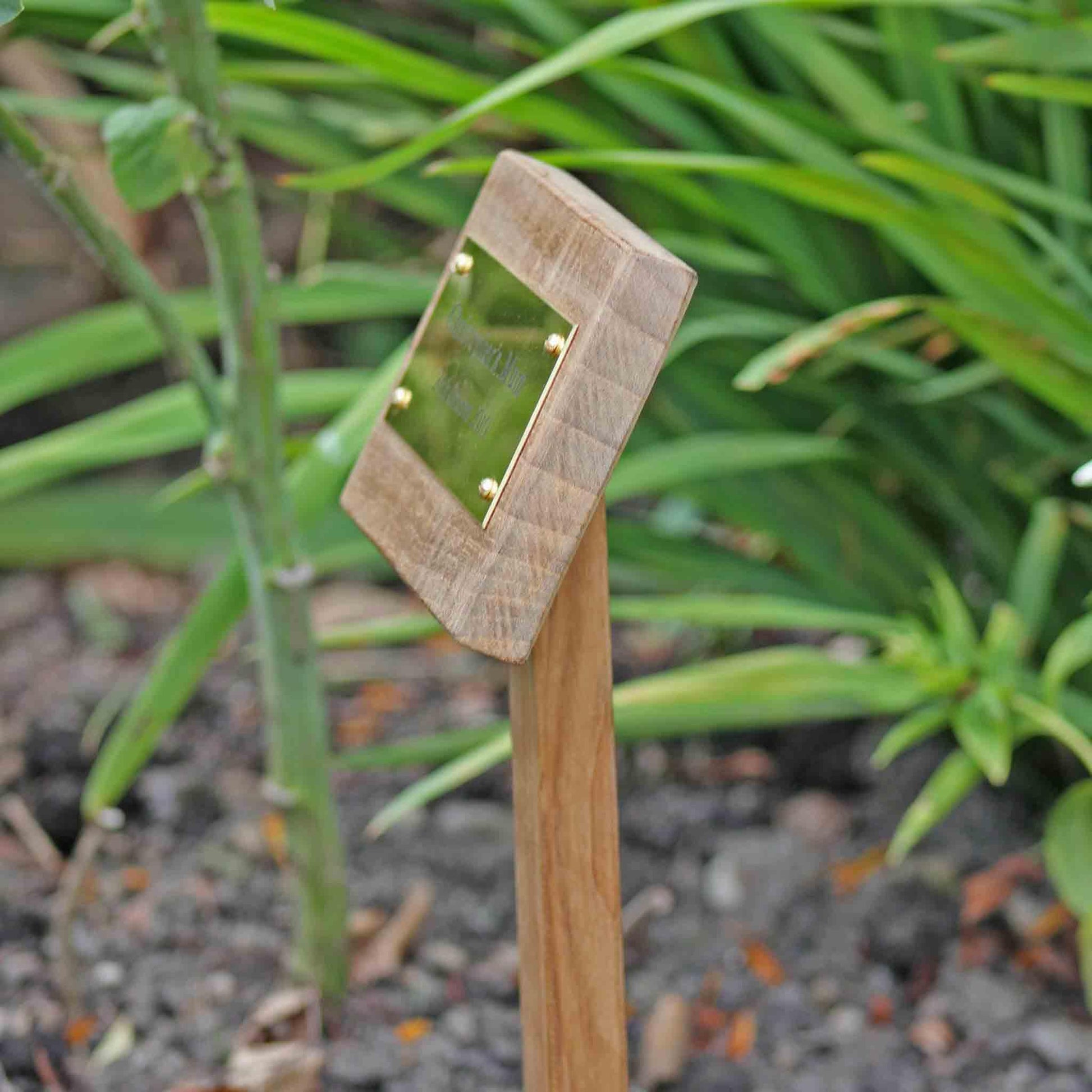 Wooden garden marker and plaque in a garden setting