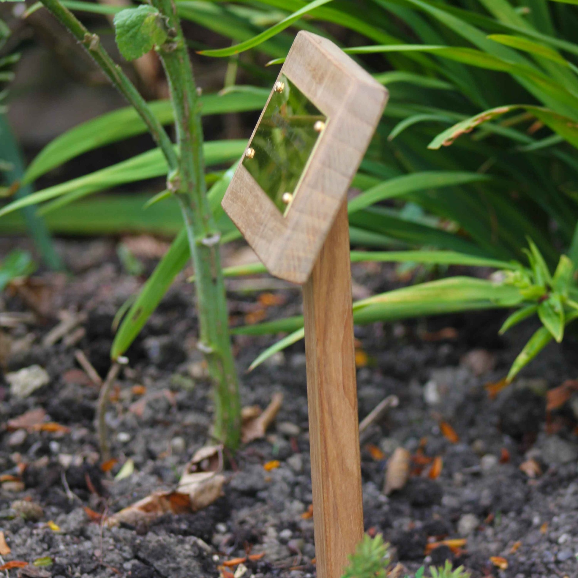 Kitchen garden marker labelling vegetables