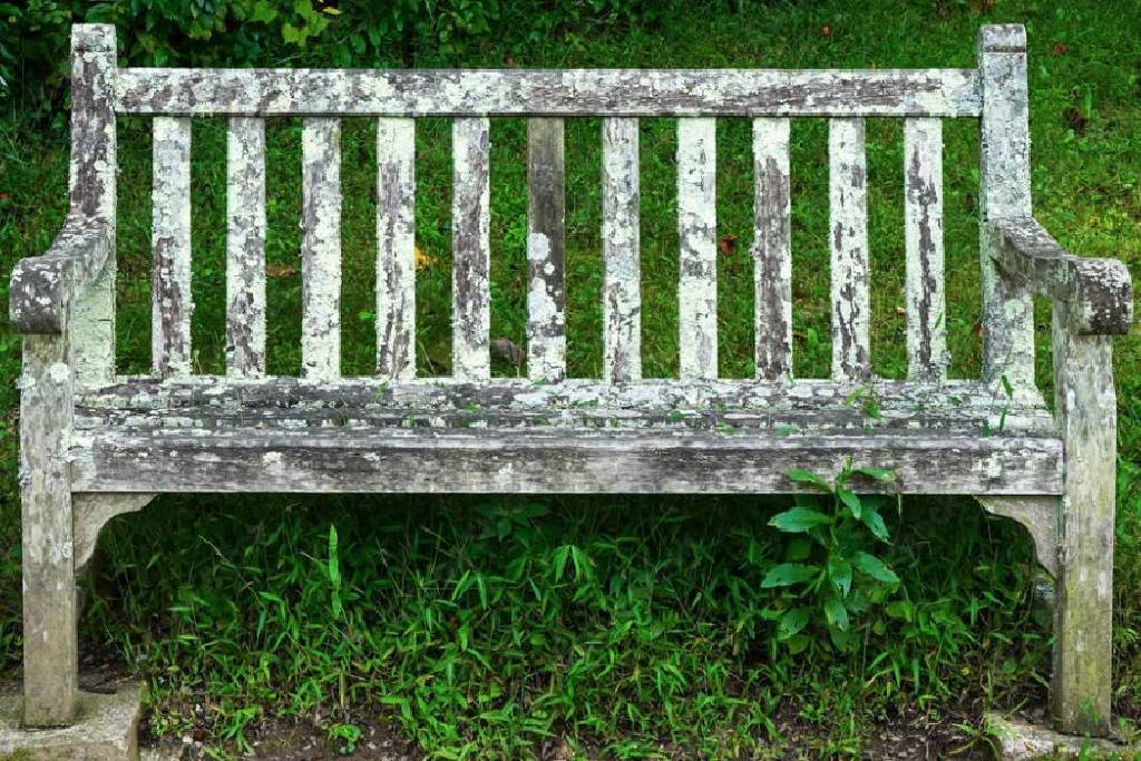 Tackling Lichen on Teak Garden Benches: A Guide to Restoration