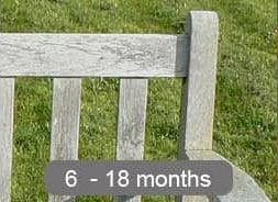 bench-ageing-process-12-months